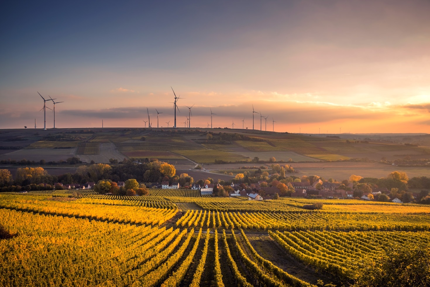 How AI is Transforming Ethical Farming Practices